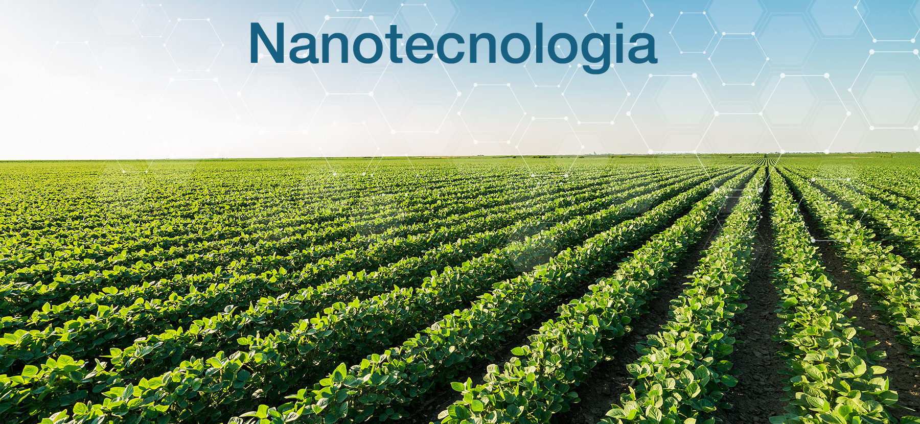 Embrapa pesquisa aplicações de nanotecnologia para agricultura